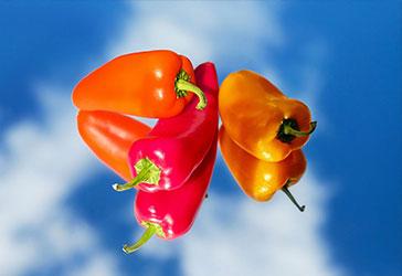 Un sweat avec 20 euros